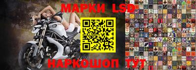 прущие грибы Обнинск