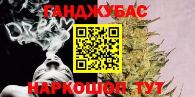 прущие грибы Обнинск