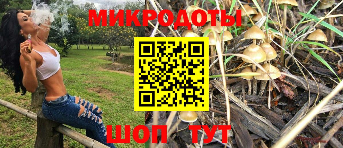 Галлюциногенные грибы Psilocybe  Галлюциногенные грибы Magic Shrooms  Вход с VPN  Тавда 